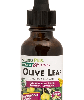 Olive Leaf, 1 fl oz (30ml) - Nature s Plus Online Hot Sale