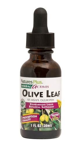 Olive Leaf, 1 fl oz (30ml) - Nature s Plus Online Hot Sale