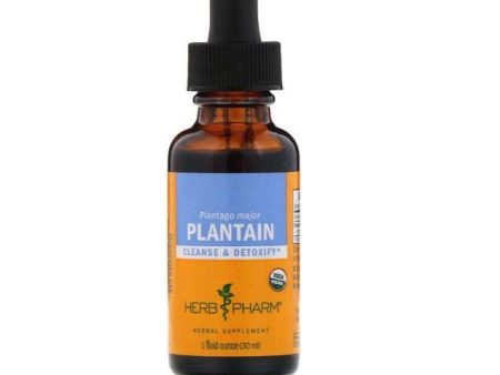 Plantain, 1oz - Herb Pharm Online now