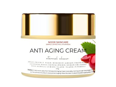 Noor Skincare Anti Aging Night Cream For Glowing Skin Online Hot Sale