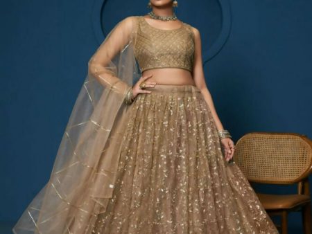 Brown Soft Netzari Embroidery Work Lehenga Choli - Jihu Culture Cheap