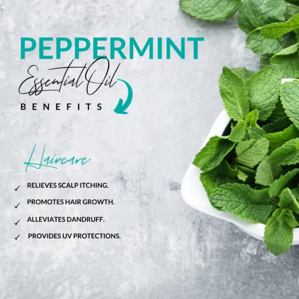 Camia Organic Peppermint Essential Oil Fashion